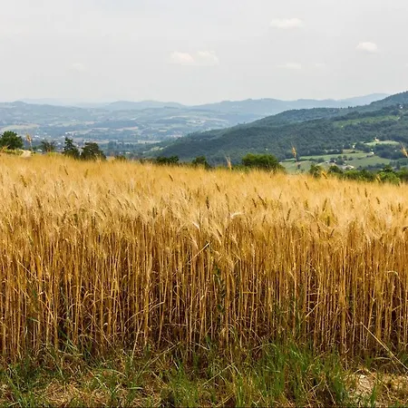 Cozy In With Wifi Апартаменты Ассизи