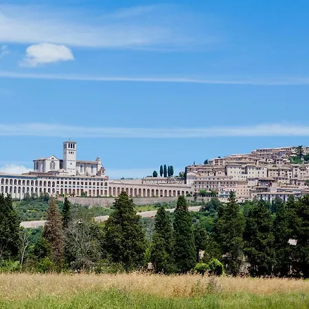 Cozy In With Wifi * Assisi